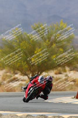 media/Apr-10-2022-SoCal Trackdays (Sun) [[f104b12566]]/Turn 5 Tree of Life (1040am)/